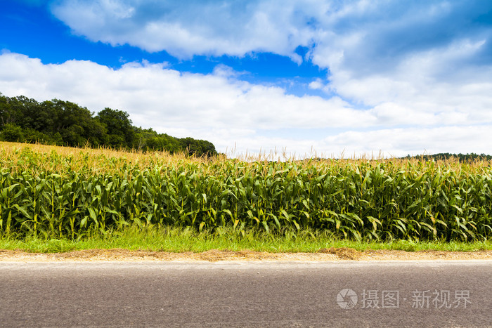 美国国家公路侧视图