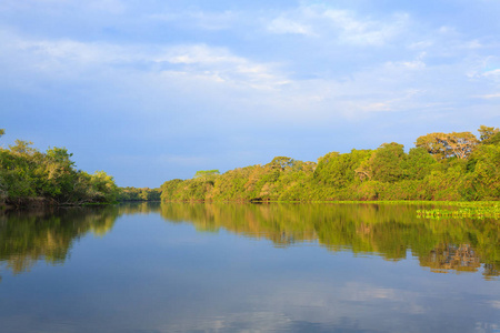 从潘塔纳尔湿地，巴西湿地区域的全景。通航的泻湖。南美洲的里程碑