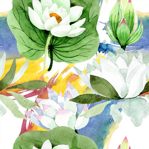 白莲图片 白莲素材 白莲插画 摄图新视界 白莲图片 白莲素材 白莲插画 摄图新视界