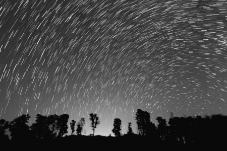 在黑色和白色 startrails