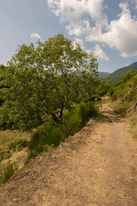 西班牙嫂子山谷中的山路