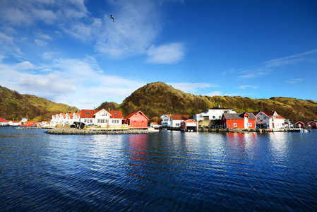 传统挪威村庄在峡湾
