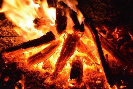 火与火烟美丽的火焰木头