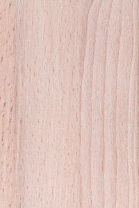 山毛榉木家具板背景