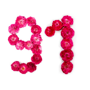 用于设计的排版元素.花数字, 日期, 隔绝, 分离照片