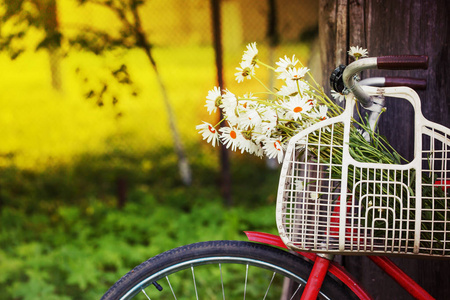红色老自行车与鲜花在篮子在村庄