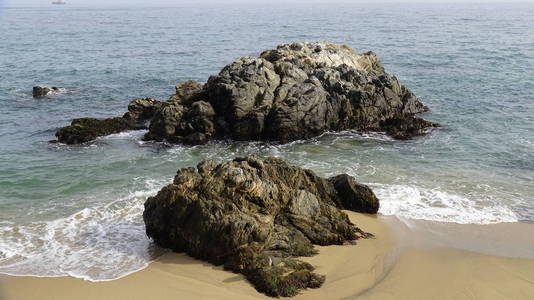 鹈鹕鸟和岩石海滩