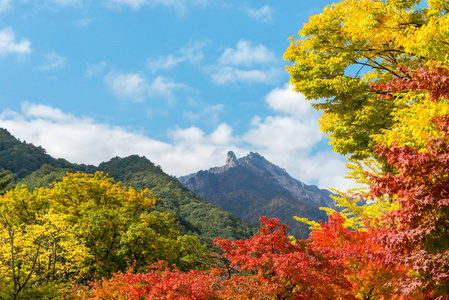 雪岳落在早晨的阳光，Seoraksan 国家公园中的视图