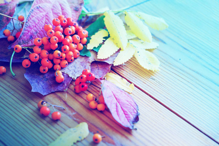 木桌上的秋叶和浆果的顶部视图