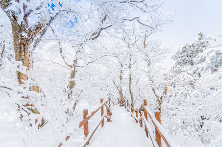 冬季在山上的雪在汉城的景观, 所以