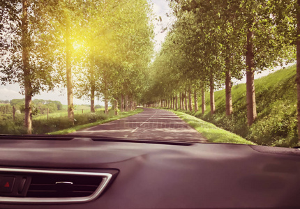 道路和森林通过阳光汽车挡风玻璃的看法