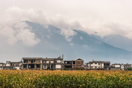 中国云南大理苍山山脚下的传统民居和玉米田