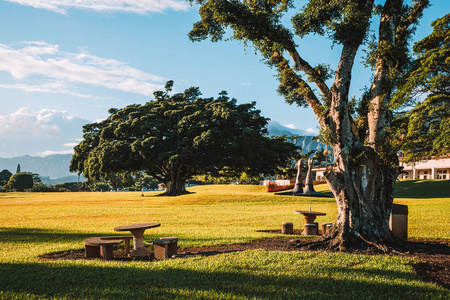 美丽的公园与夏威夷大学在晴朗的日子在檀香山附近