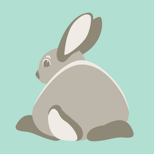 兔子兔矢量插画平面样式剖面