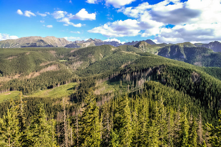 景观的 Tatra 山覆盖的森林, 从顶部的鼻。美丽的全景与峰顶在蓝天背景, 扎科帕, 波兰