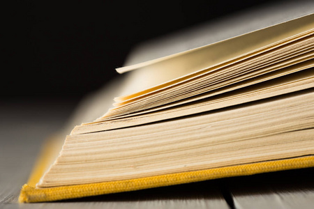 教育与智慧概念--图书页面的宏观视角照片