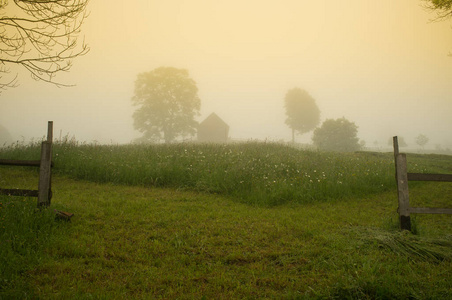 美丽的早晨在乡下。雾中的草甸和树