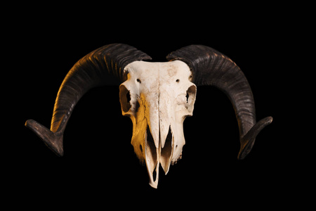 黄色的头骨图片-黄色的头骨素材-黄色的头骨插画-摄图新视界