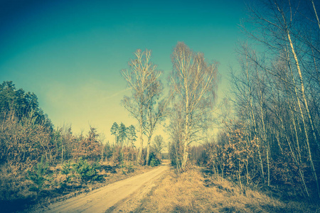 穿越田野和森林的春天的道路景观, 复古照片