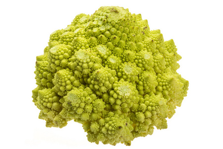 romanesco 白菜