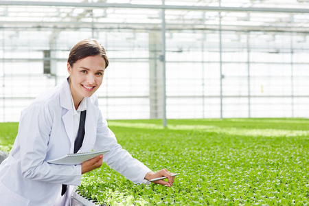 成功的农业研究员研究温室植物生长的特性
