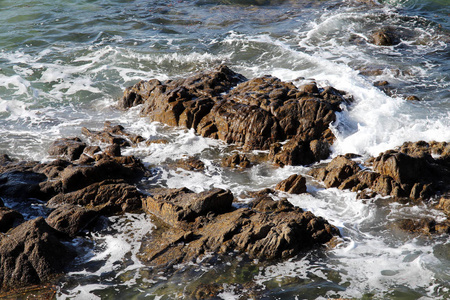 海浪在海岸礁石上飞溅图片