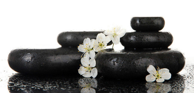 spa 石头和孤立白底白花