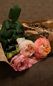 三朵娇嫩的玫瑰花