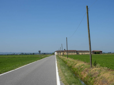 沿着公路从 Lignana 到 Ronsecco, 临近 Vercelli, 意大利山麓, 夏季