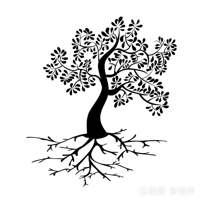 黑树同根剪影插画-正版商用图片065v2e-摄图新视界