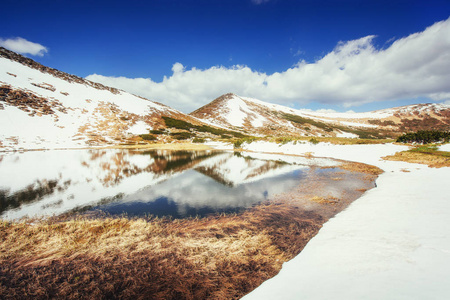 湖之间的山。春天的风景。喀尔巴阡山乌克兰欧洲