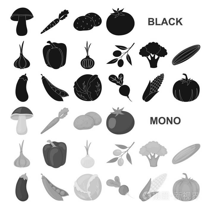 蔬菜和维生素矢量符号股票网站插图