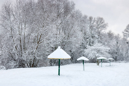 雪覆盖的海滩在一个多云的冬天天之后下雪。冬季景观