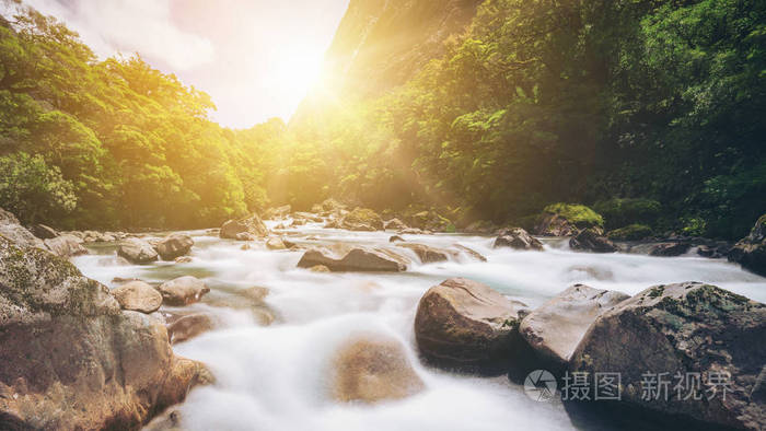 在雨林，新西兰洛基河景观