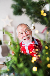一个带着礼物的老人, 站在圣诞树下的包装盒里