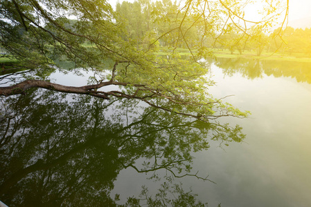 自然背景湖景