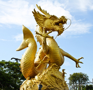中国岛图片