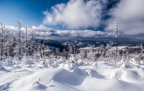 冬山风光与雪, 冰冻的树木, 山上的背景和蓝天白云