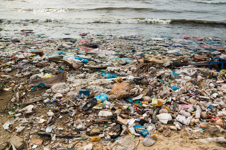 越南一个渔村污染的海滩, 环境污染的概念