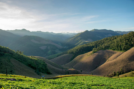 美丽的风景图片山和绿色领域与蓝色天空在早晨