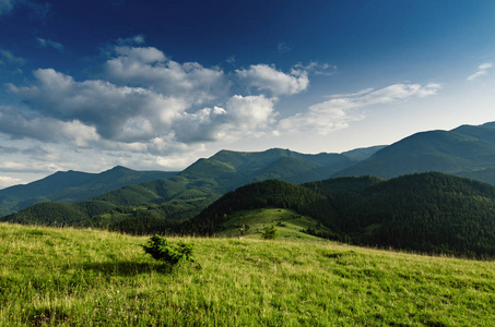 喀尔巴阡山风景