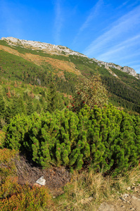 从 Hala Kondratowa 山谷到 Kopa Kondracka 和 Giewont 在秋季, Tatra 山脉, 波兰