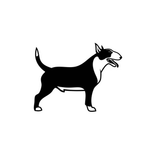白色背景下黑公牛梗犬的矢量图解设计