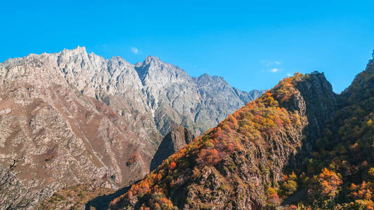 在高加索山脉五颜六色的秋天景观, 在卡兹别吉的五颜六色的森林, 格鲁吉亚