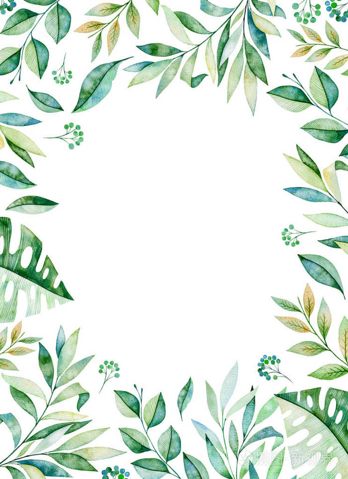绿色的叶子花框架