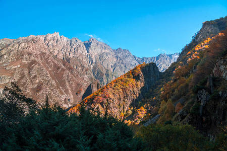 在高加索山脉五颜六色的秋天景观, 在卡兹别吉的五颜六色的森林, 格鲁吉亚