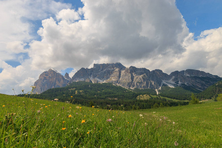 在意大利的白云岩中, 有许多花和著名的 Tofane 山群在背景中的一个美丽的夏天草甸