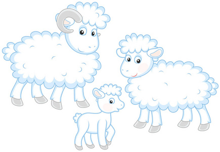 公羊卡通一只小白羊羔, 一只绵羊和一只公羊, 一个滑稽卡通风格的矢量