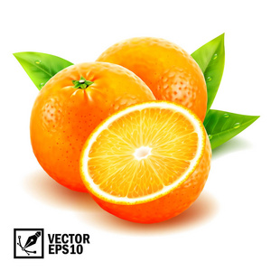 逼真的向量设置新鲜的整个橙子和切片橙叶和露水滴。可编辑手工网格