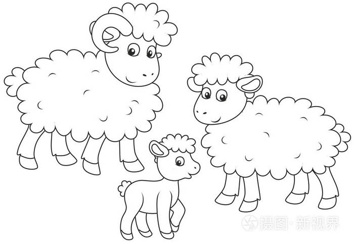 一只小羊羔一只绵羊和一只公羊一个黑白的矢量插图在